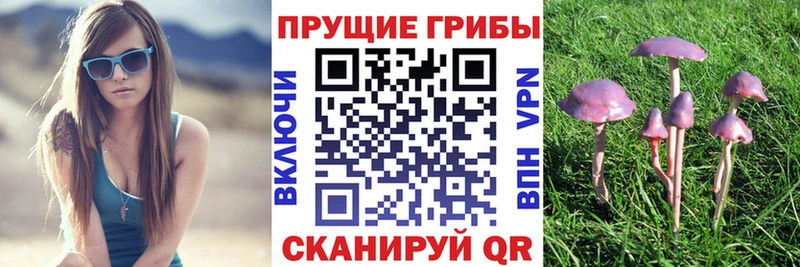 Галлюциногенные грибы MAGIC MUSHROOMS  MEGA сайт  Починок  где купить  
